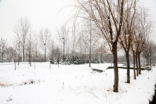 园林雪景