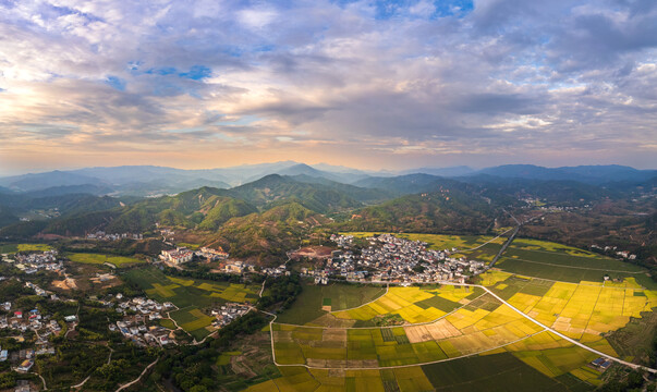 乡村稻田