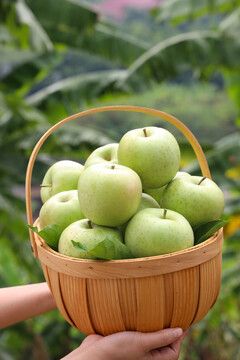 王林苹果青苹果