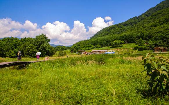 神农架大九湖