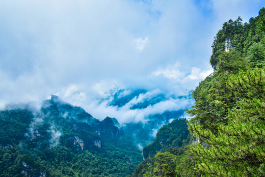 光雾山