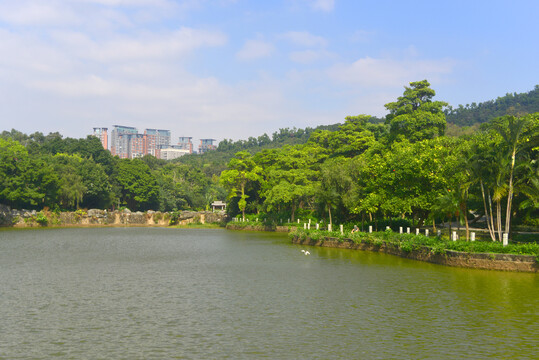 深圳笔架山和双砚湖风光