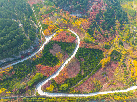 五彩斑斓的山坡