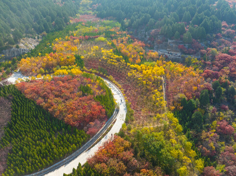 五彩斑斓的山坡