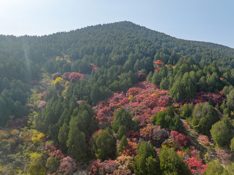 五彩斑斓的山坡