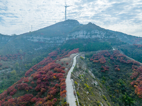 航拍济南章丘九顶山风车与红叶