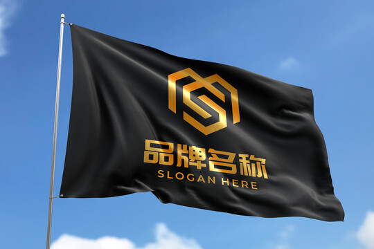 布纹烫金LOGO样机