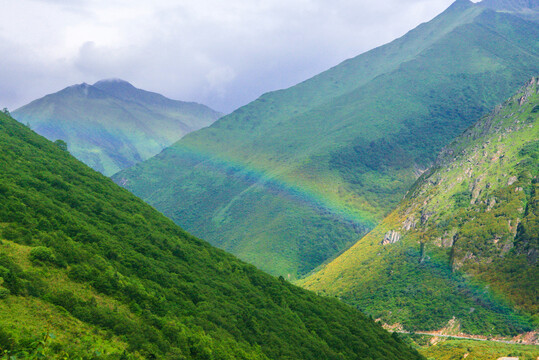 鲁朗林海