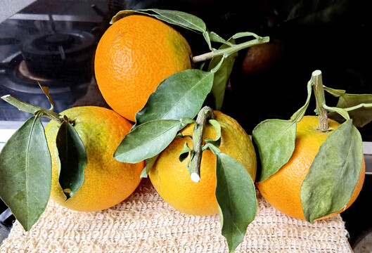 新鲜果冻橙