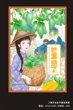 芒果包裝插畫