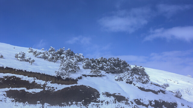 云南昭通大山包冬天雪景