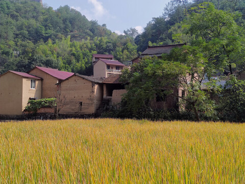 小山村