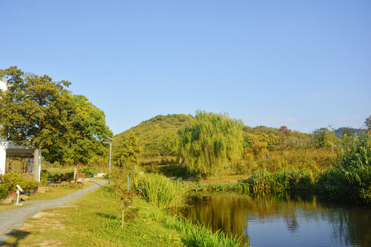 田园风景