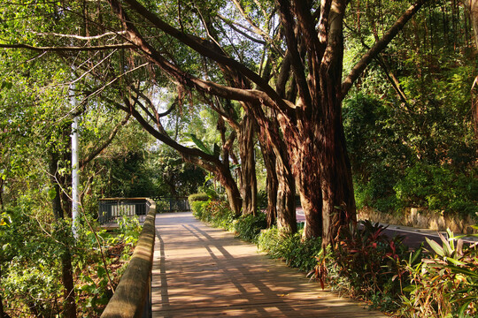 福州金鸡山公园