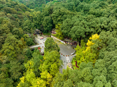 青城山前山入口植被秋色