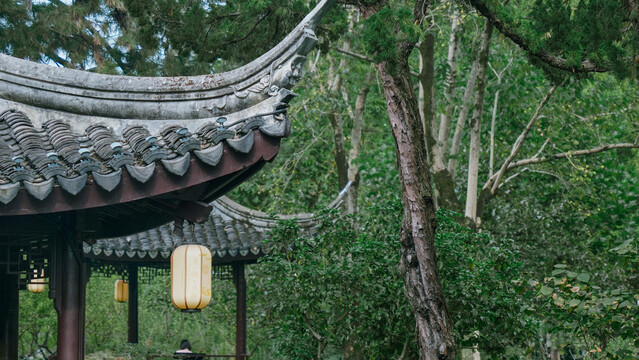 宁波天一阁月湖景区秋景