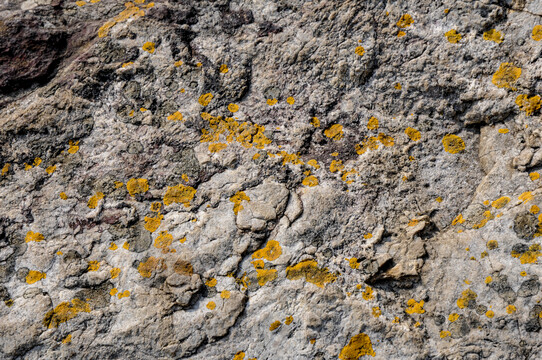 岩石黄斑纹理