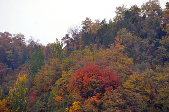 兰州白塔山风光