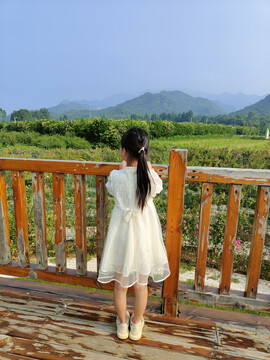 花溪谷树桥公园女孩背景