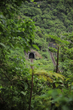 隐匿山林中的火车隧道