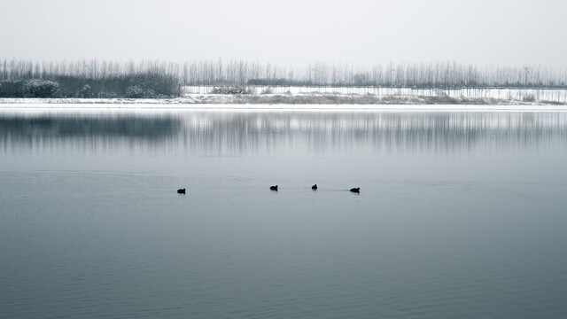 杨凌渭河湿地公园