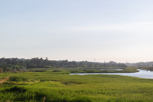 田野