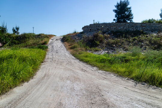 草地小路