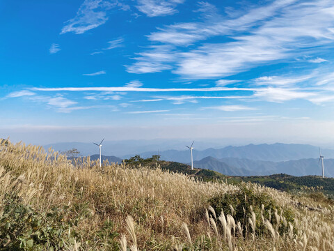 东白山