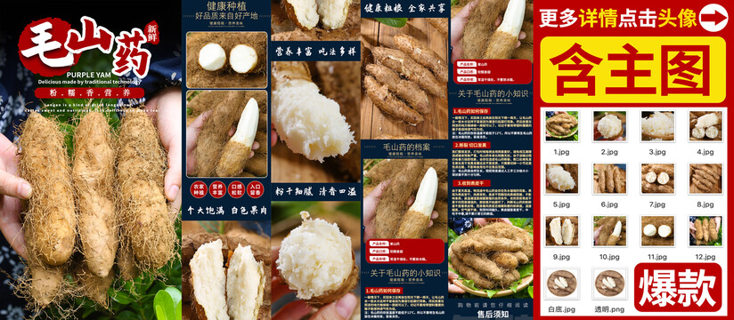 毛薯詳情