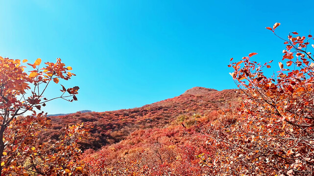 崇山峻岭