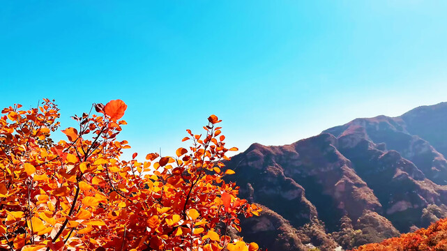 崇山峻岭