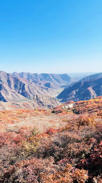 山顶风光