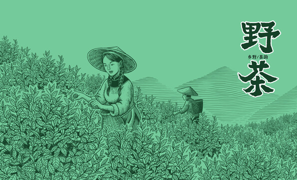 茶葉包裝