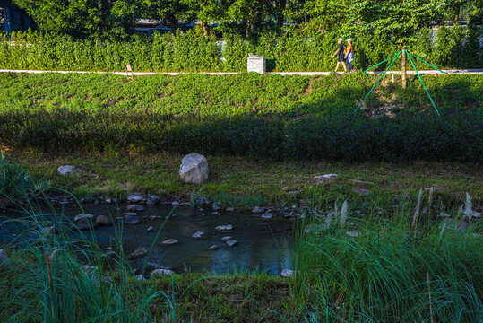 碧道风景