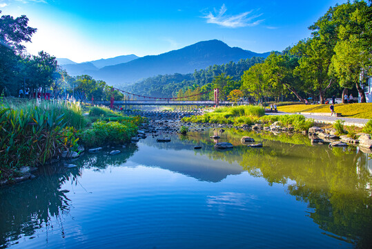 梧桐山溪晨景