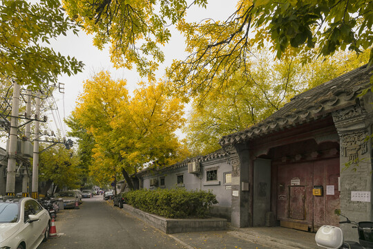 胡同秋景