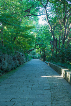 吴山景区游步道