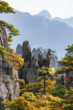 安徽黄山秋季自然风光