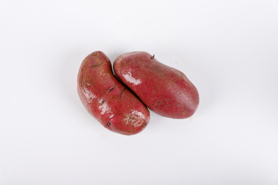 红心土豆