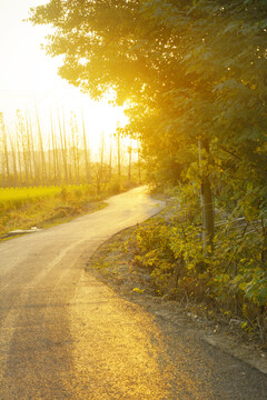 乡村道路