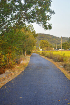 乡间小路