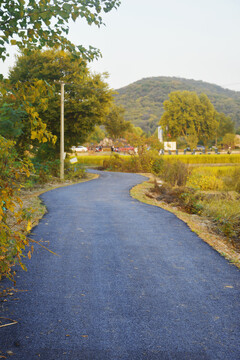 乡村小路