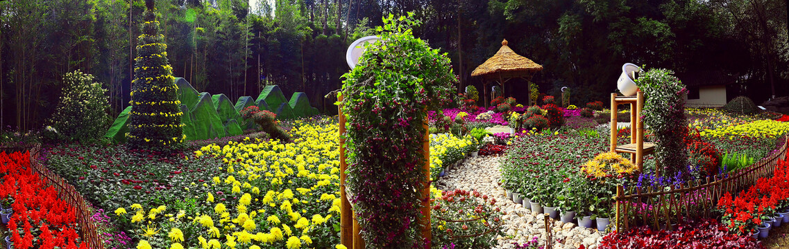 菊花展全景