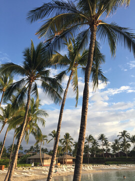 夏威夷的海滨酒店