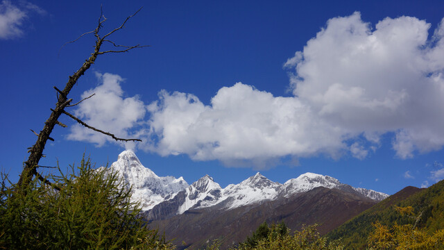 四姑娘山旗山