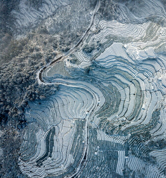 航拍浙江丽水松阳雪后茶园梯田