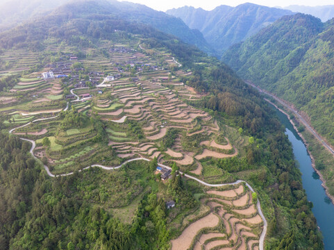 高山梯田农业种植自然风光