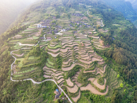 高山梯田农业种植自然风光