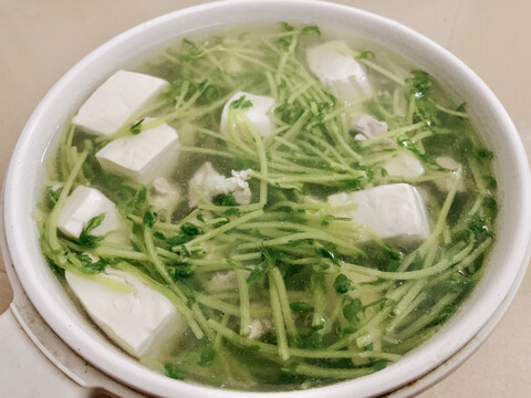 上湯豆苗