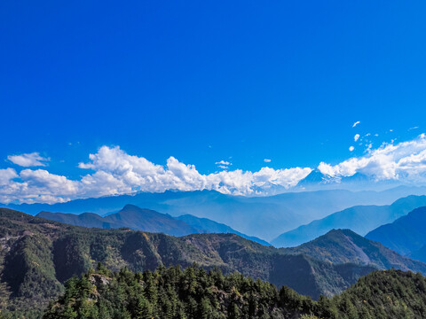 牛背山